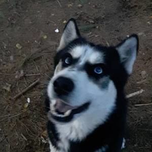 Meet your Posher, Vickie